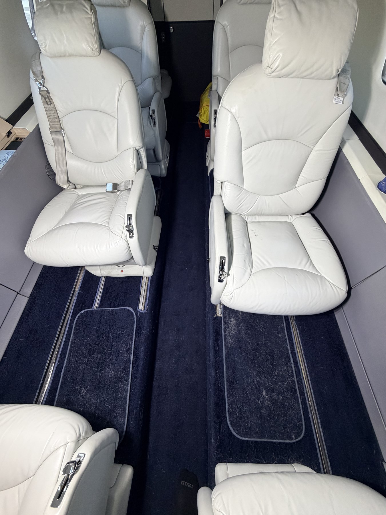 Before: cabin aisle and carpeted areas with visible pet hair on Citation Excel