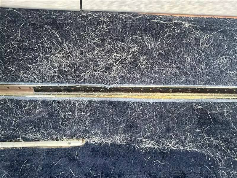 Before: dog hair embedded in carpet fibers near cabin floor tracks