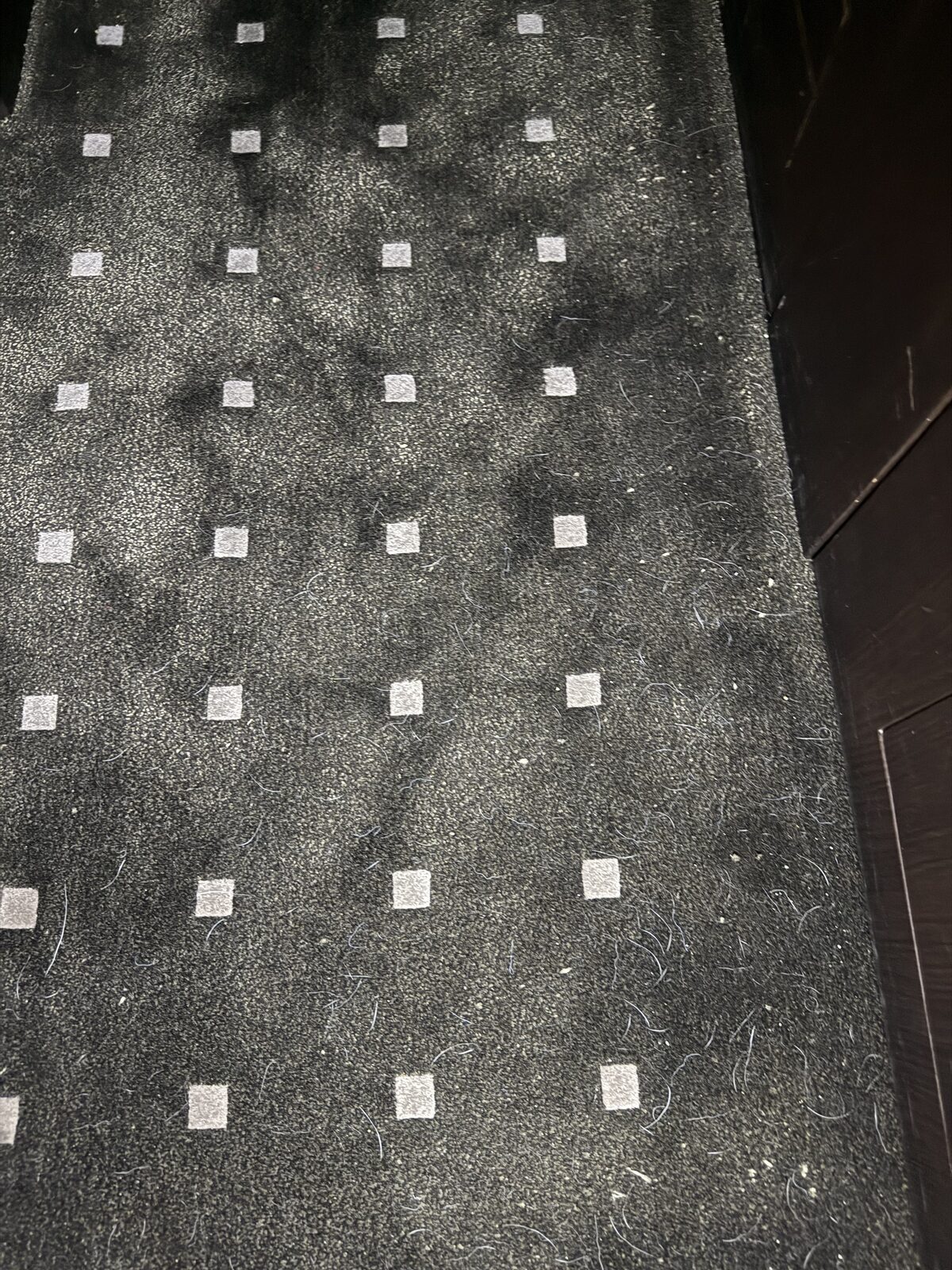 Before: pet hair and embedded material in Bombardier Global 5000 carpeted cabin areas