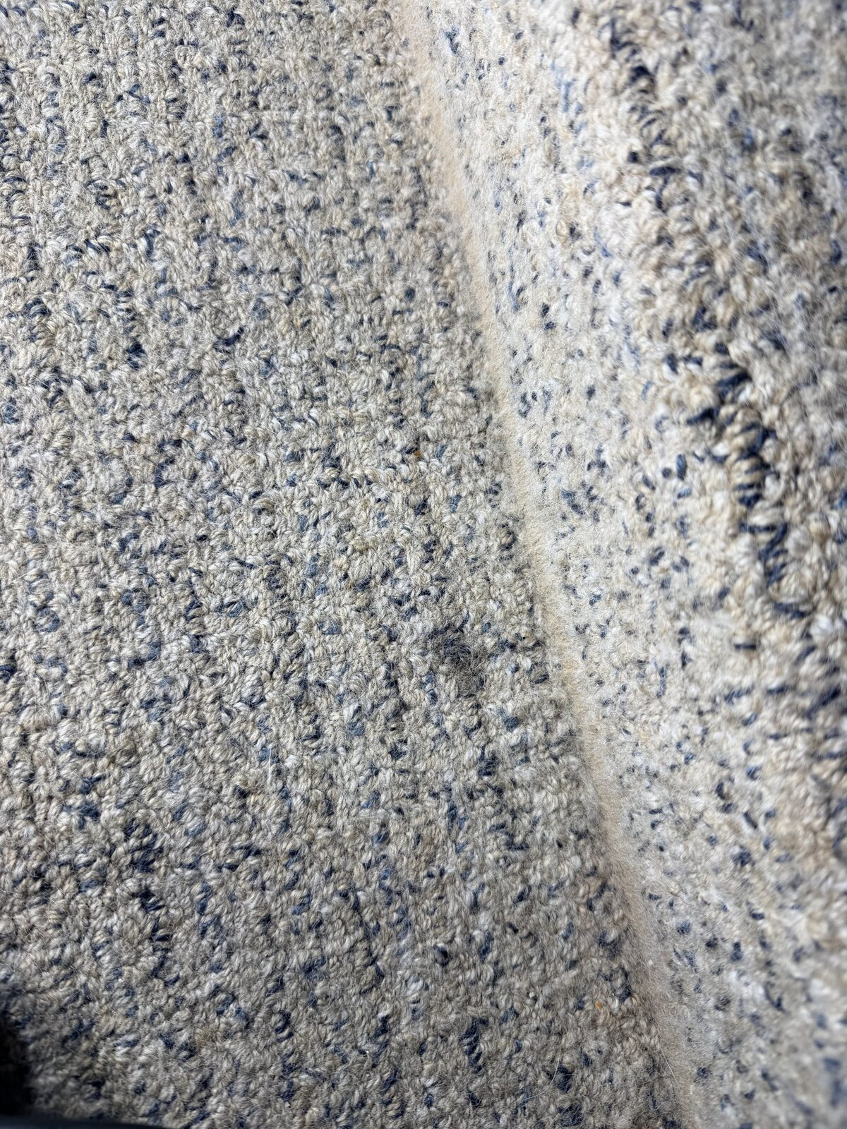 Before: close view of carpet fiber condition showing embedded debris and pet hair