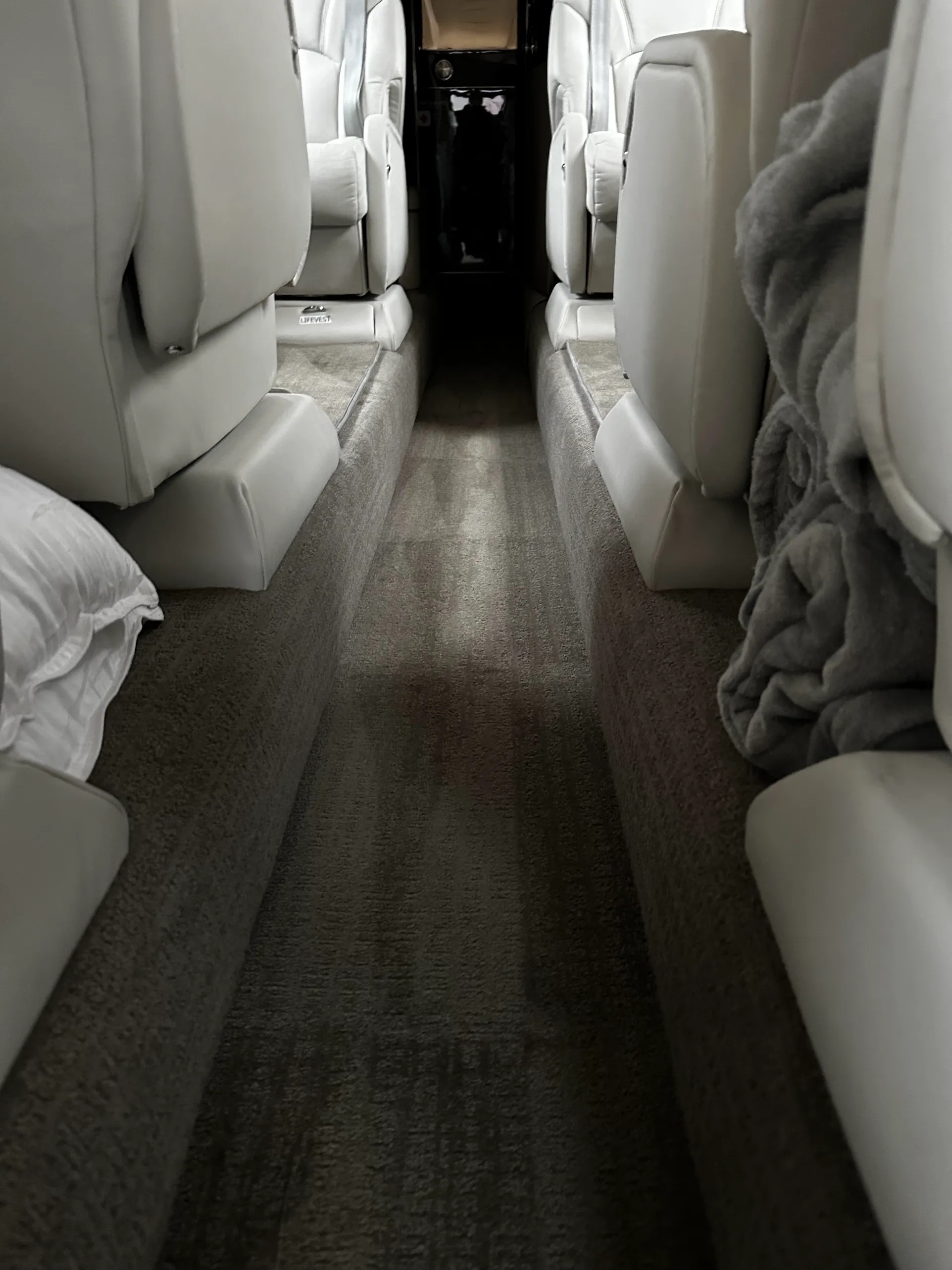 Chicago aircraft detailing private jet interior carpet after professional hot water extraction and deep cleaning - The Polished Hare