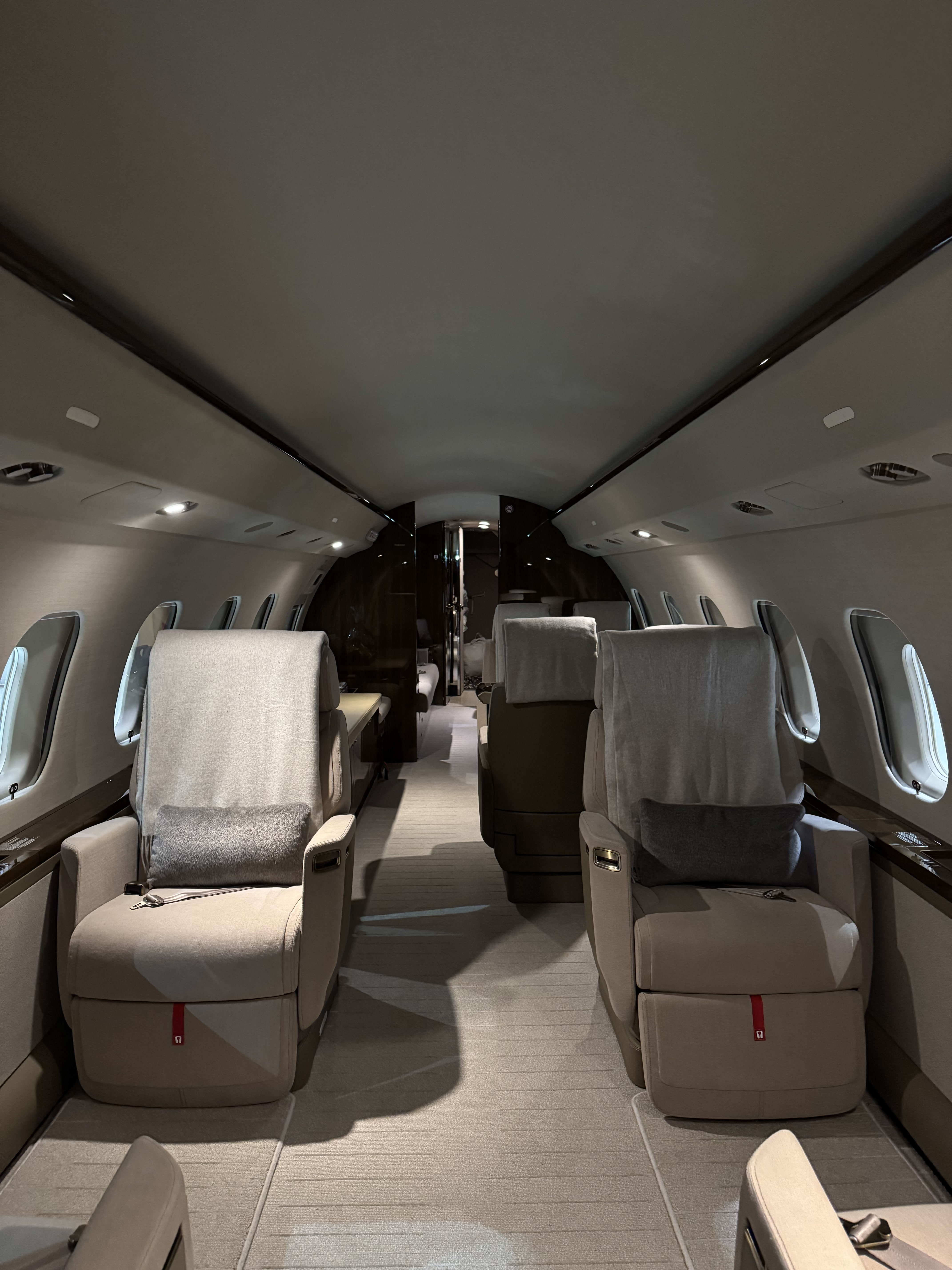 Light jet interior club seating configuration leather cleaning