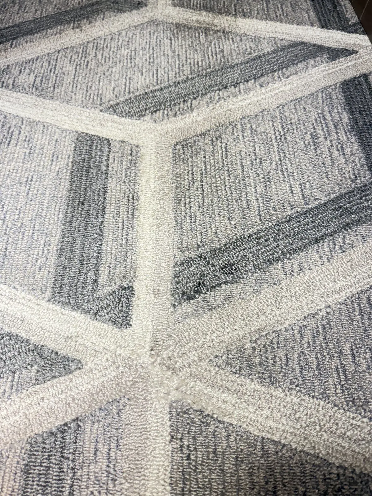 Before: aisle carpet traffic patterns before extraction on Challenger 300