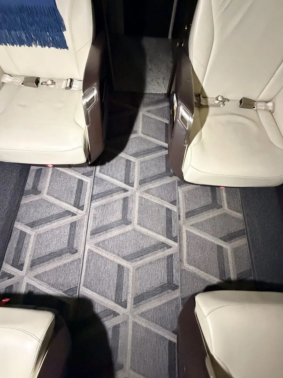 Before: passenger-aisle carpet condition before extraction on Challenger 300