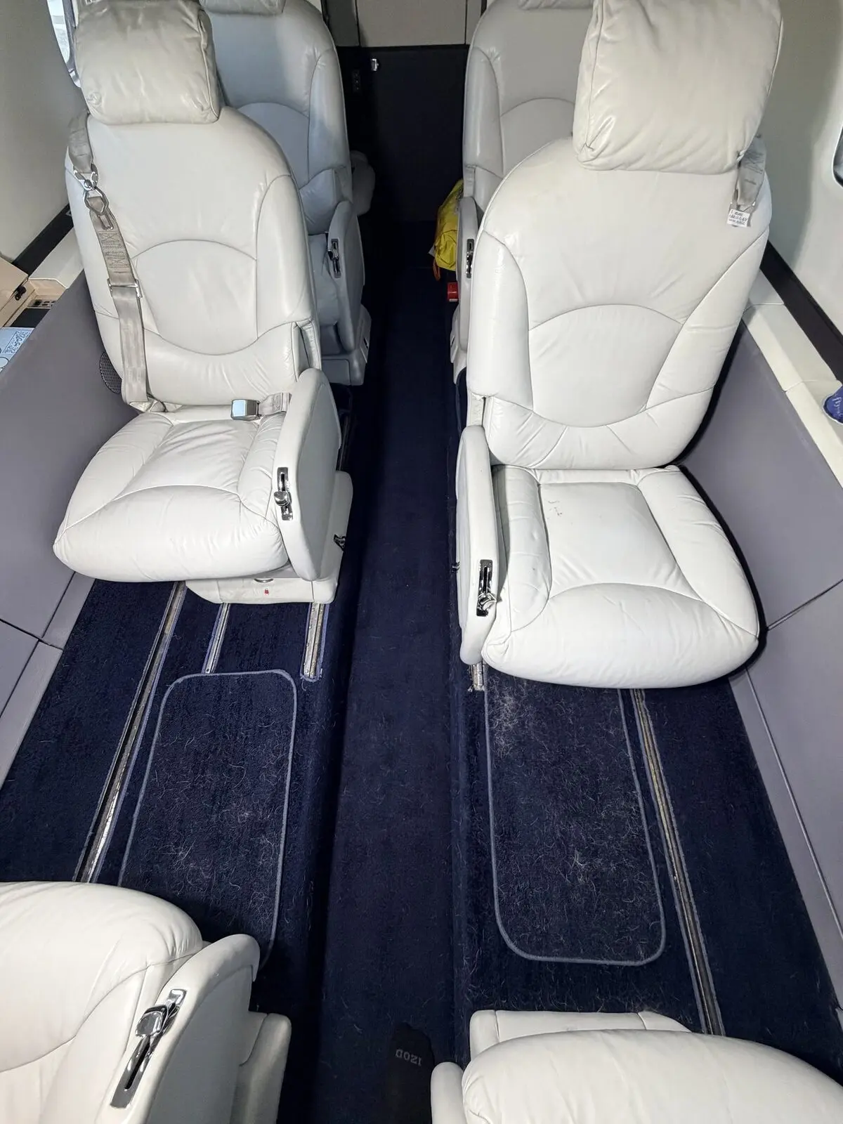 Before: cabin aisle and carpeted areas with visible pet hair on Citation Excel