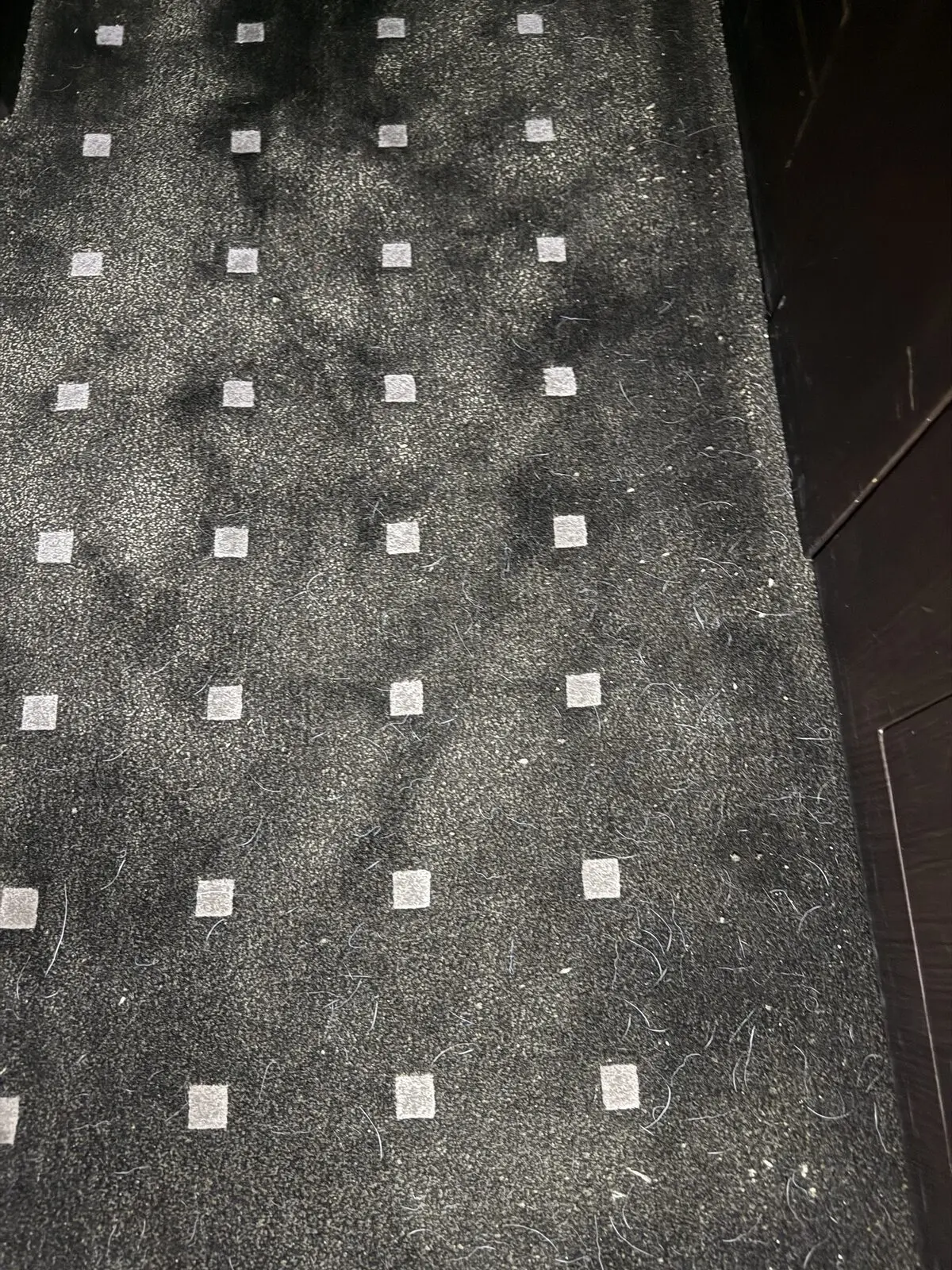 Before: pet hair and embedded material in Bombardier Global 5000 carpeted cabin areas