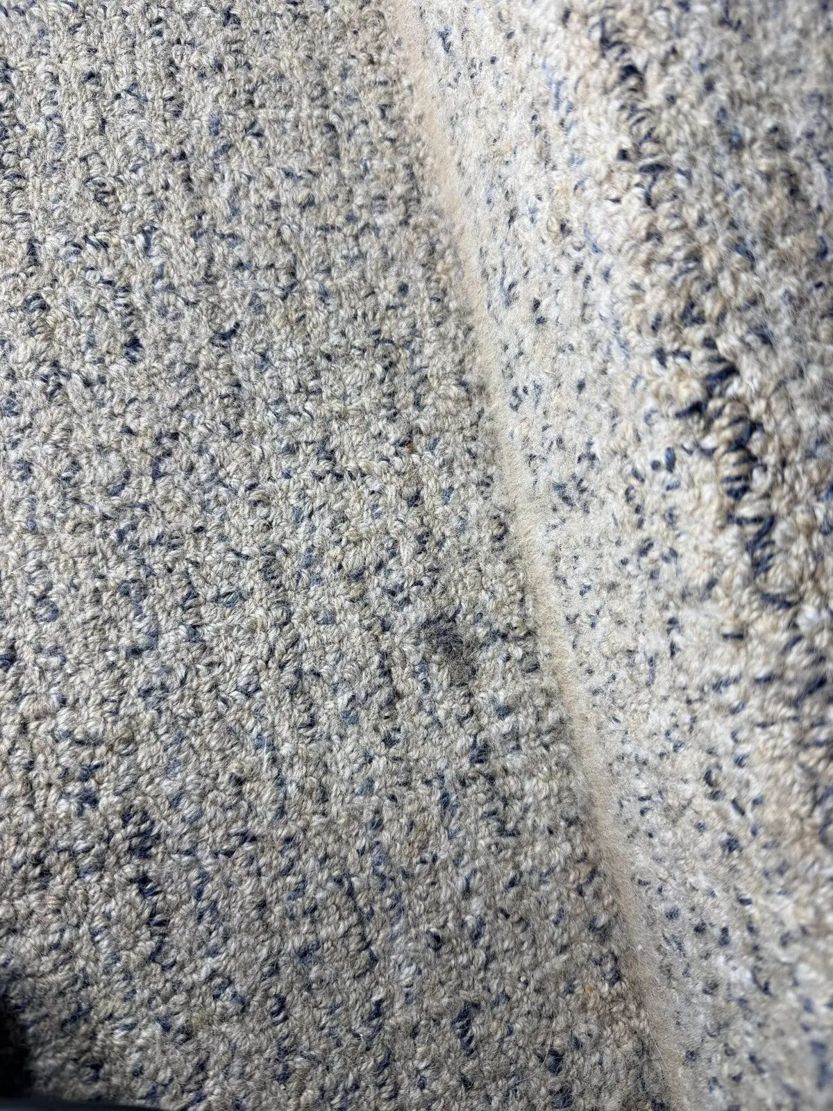 Before: close view of carpet fiber condition showing embedded debris and pet hair